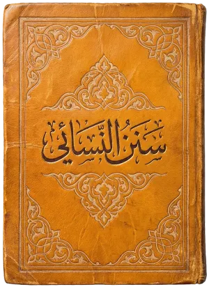 سنن النسائي